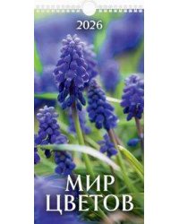(20%)"Мир цветов"(165*320).К-рь настен. перекид.с ригелем(2026) Б