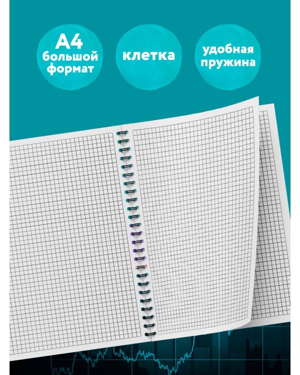 Блокнот в клетку. Ленивец (А4, 48 л., на пружине)