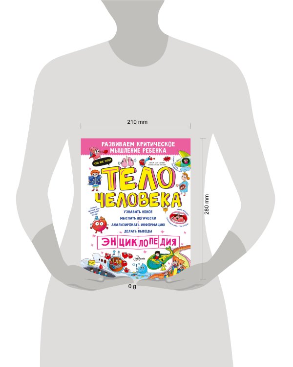 Тело человека