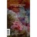 Дополнительное изображение книги «Кошмарная вечеринка. Хэллоуин в книжном "Ленивые кости"»