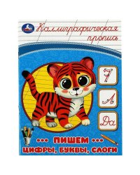 Пишем цифры, буквы, слоги. Каллиграфическая пропись. 145х195 мм. Скрепка. 16 стр. Умка в кор.50шт