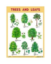 Плакаты (англ). Trees and Leafs (Деревья и листья)