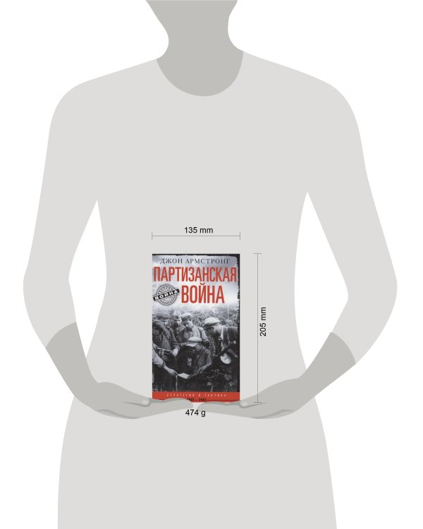 Партизанская война. Стратегия и тактика. 1941—1943