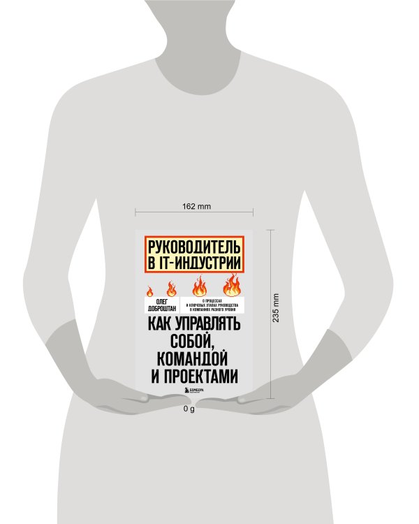 Руководитель в IT-индустрии. Как управлять собой, командой и проектами