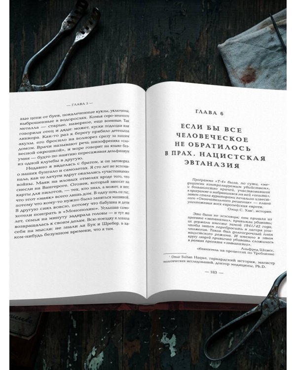 Убийство по назначению врача. Как лучшие намерения психиатрии обернулись нацистской программой уничтожения: от «морального лечения» Пинеля к газовым камерам Зонненштайна