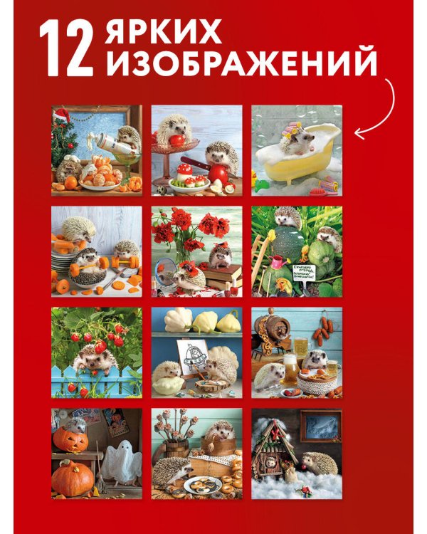 Дополнительное изображение книги «Ёжекалендарь. Какао с маршмеллоу. Календарь настенный на 2027 год (170х170)»