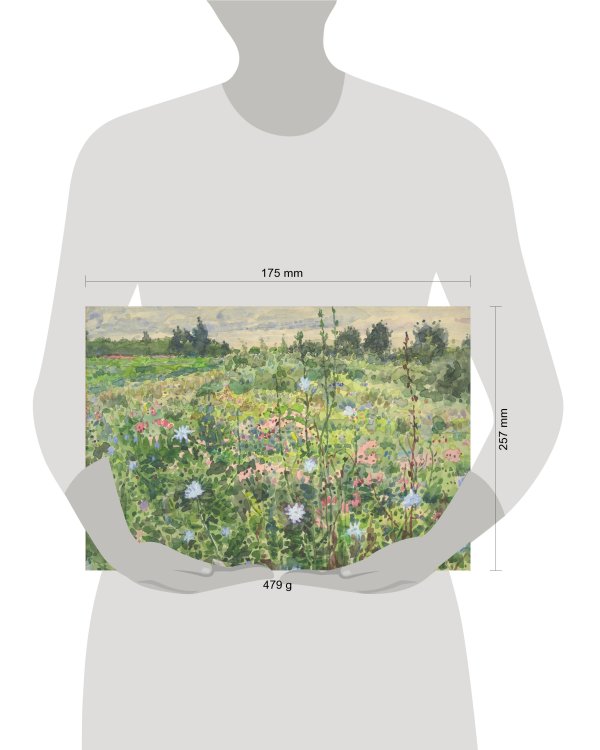 Скетчбук. Весенние цветы (формат В5, 128 стр, открытый корешок, бумага слоновая кость)