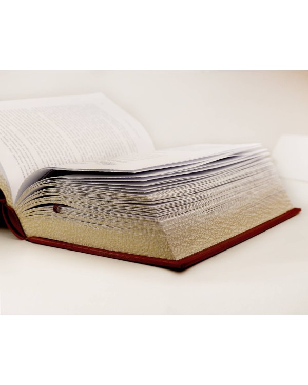 Врачи. Всемирная история медицины в лицах. Книга в коллекционном кожаном переплете ручной работы с окрашенным и золоченым обрезом и многоцветным тиснением