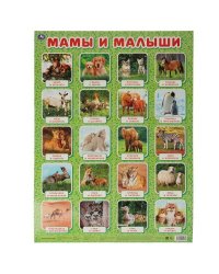 Мамы и малыши. Плакат А2. Умка в кор.50шт