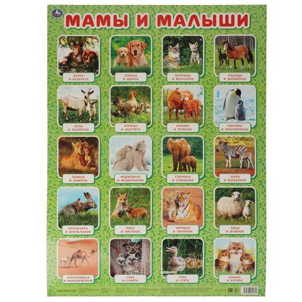 Обложка книги «Мамы и малыши. Плакат А2. Умка в кор.50шт», ISBN 9785506055624