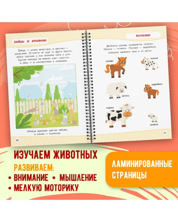 Многоразовая тетрадь. Животные