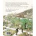 Дополнительное изображение книги «Таинственный сад»