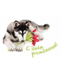 День рождения сентиментальный. Открытка №7