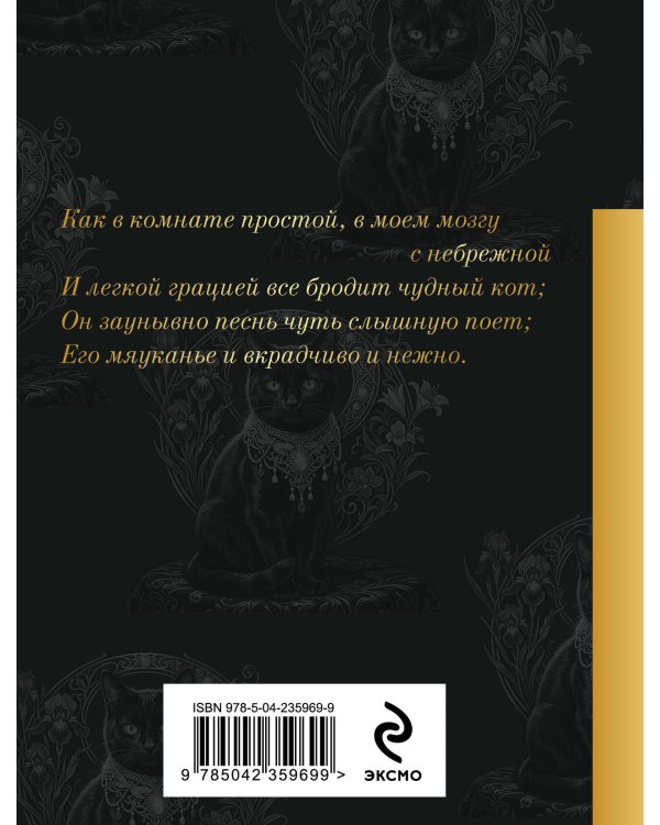 Кот