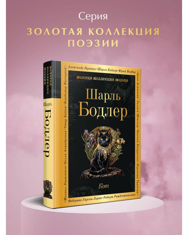 Кот