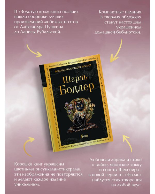 Кот