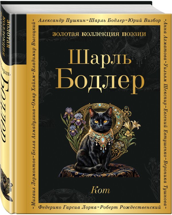 Кот