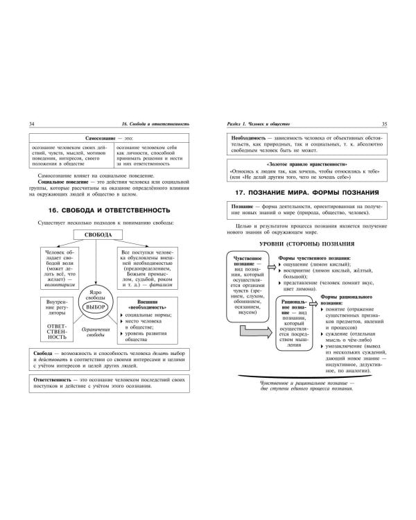 Обществознание: наглядно и доступно