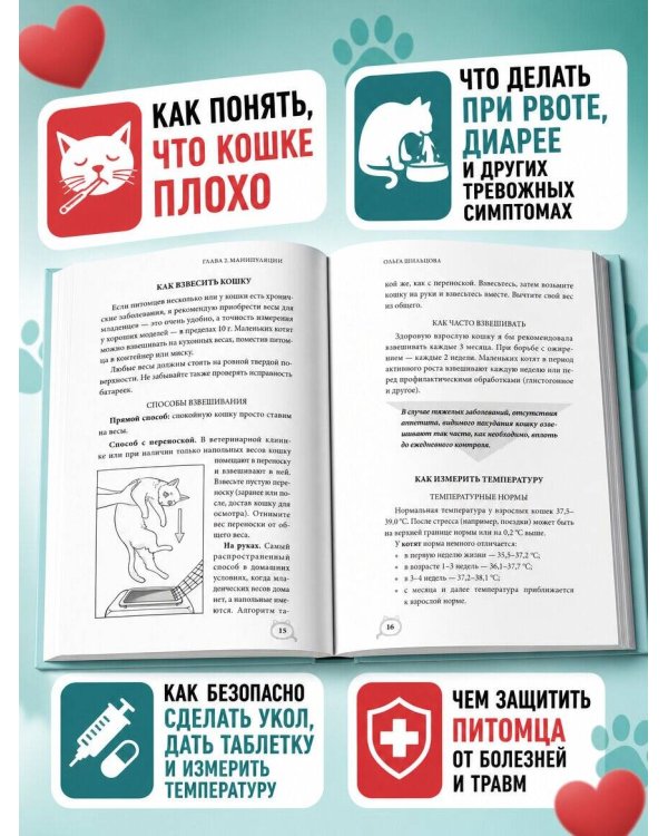Дополнительное изображение книги «Новый Завет. Иллюстрированное издание»