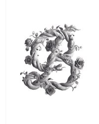 Загмайстер и Уолш: О Красоте