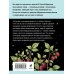 Дополнительное изображение книги «Миф об идеальном мужчине»