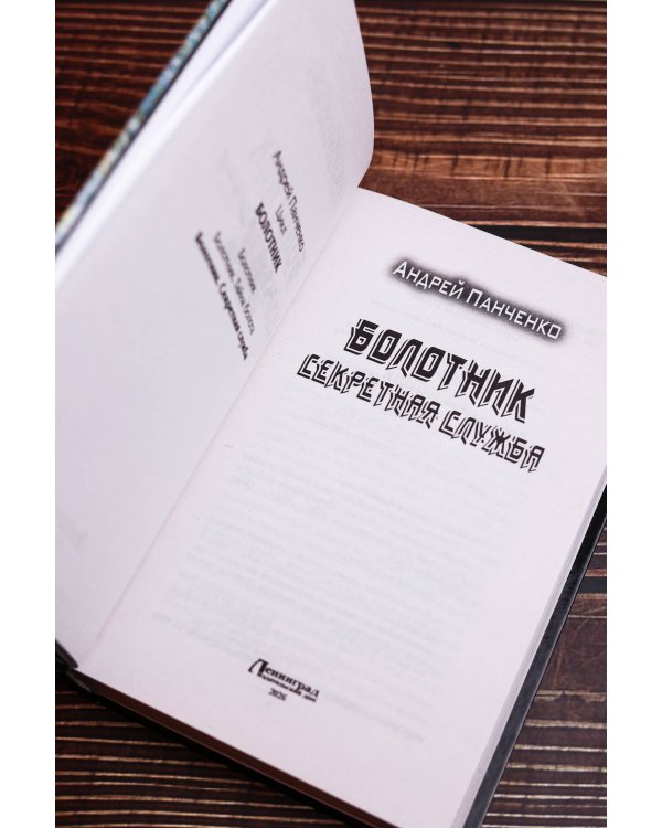 Болотник. Секретная служба