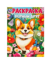 Верный друг. Раскраска. 214х290  мм. Скрепка. 16 стр. Умка в кор.50шт