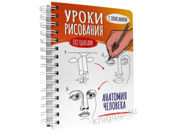СЕРИЯ: СКЕТЧБУК А5 УРОКИ РИСОВАНИЯ ПО ШАГАМ 64л на гребне глянц. ламин, 150х196 (офсет 160гр) (Проф-Пресс) СКЕТЧБУК А5 УРОКИ РИСОВАНИЯ ПО ШАГАМ. АНАТОМИЯ ЧЕЛОВЕКА