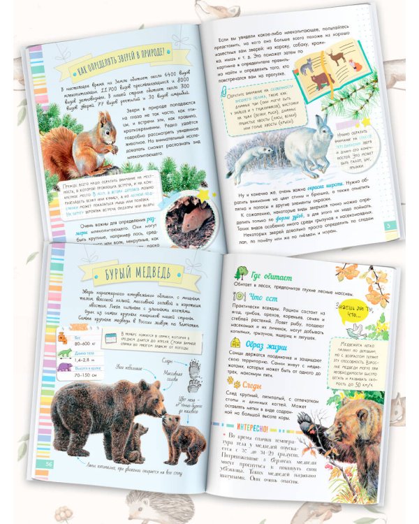 Такие разные животные