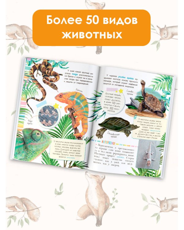 Такие разные животные