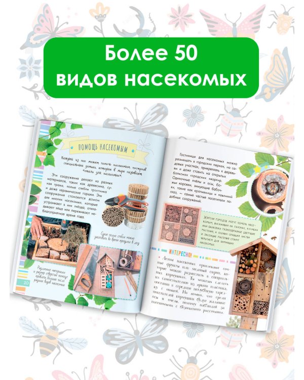 Удивительные насекомые