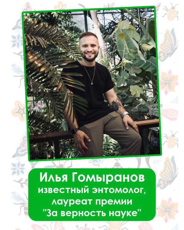 Удивительные насекомые