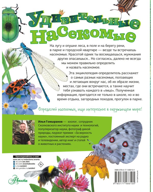 Удивительные насекомые
