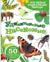 Удивительные насекомые