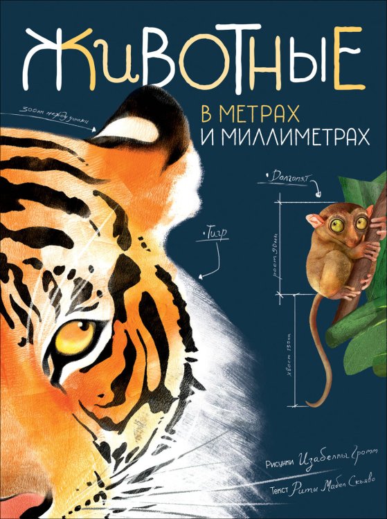 Отсутствует (РОСМЭН) Животные в метрах и миллиметрах