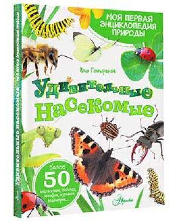 Удивительные насекомые