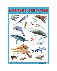 Развивающие плакаты. Морские обитатели