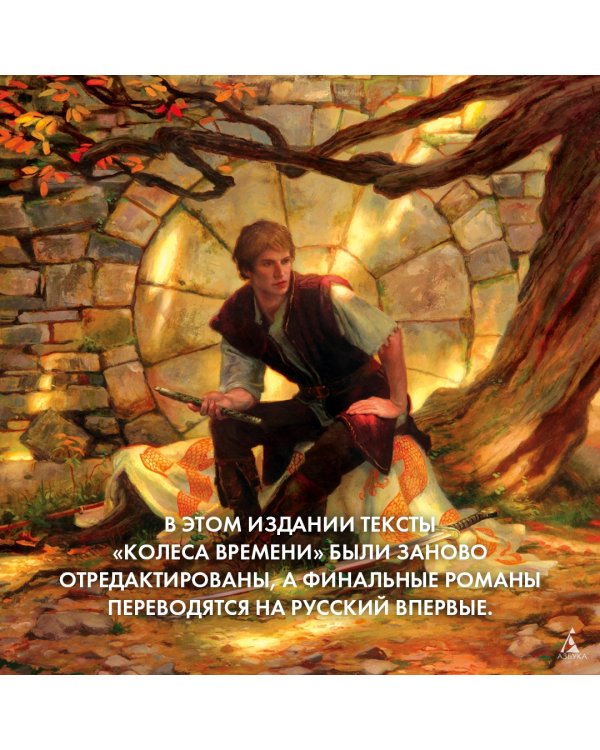 Колесо Времени. Книга 6. Властелин хаоса