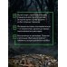 Дополнительное изображение книги «Руны — базовый курс для начинающих. Как освоить значения, не запутаться в трактовках и использовать руны на практике»