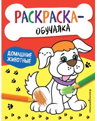 Домашние животные