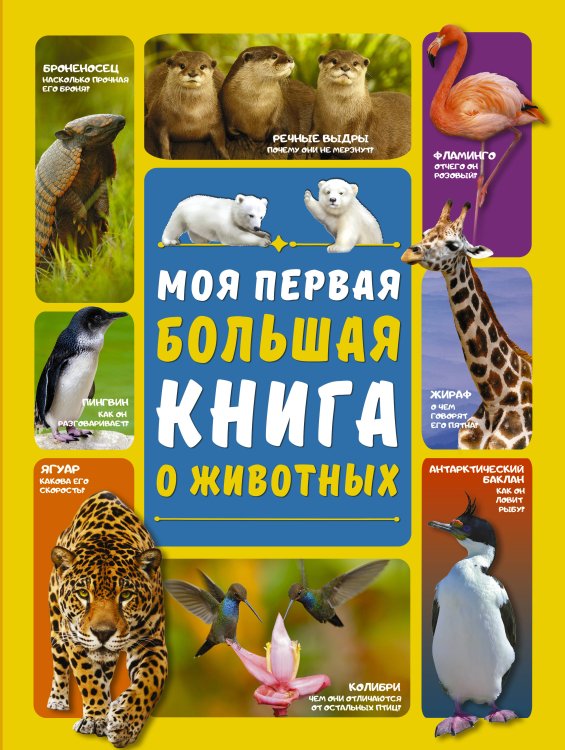Моя первая большая книга Моя первая большая книга о животных