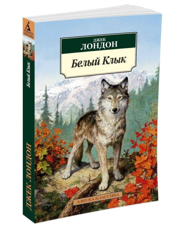Белый Клык