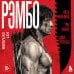 Рэмбо: Пять фильмов, три книги, одна легенда