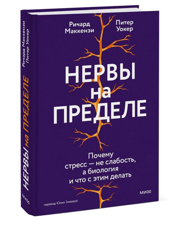 Нервы на пределе. Почему стресс — не слабость, а биология, и что с этим делать