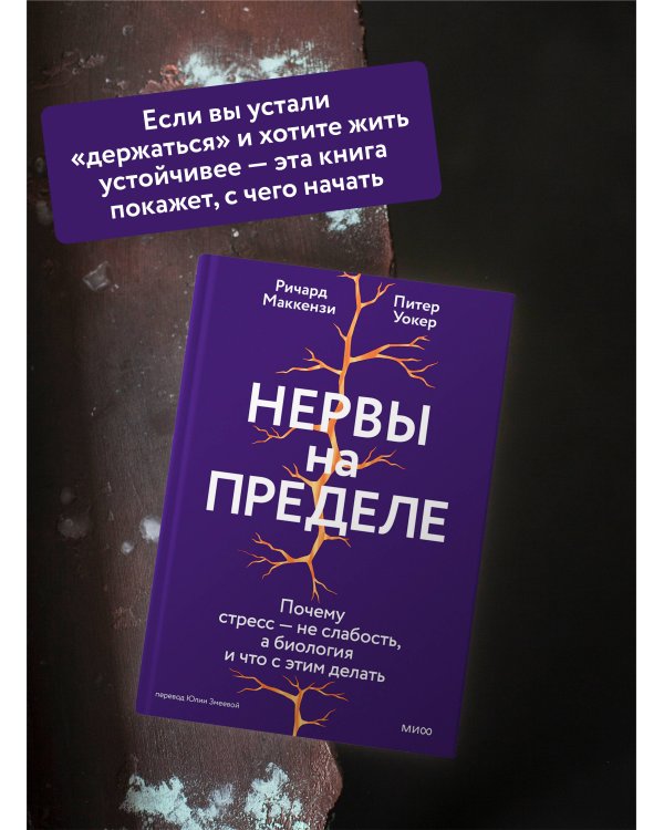 Нервы на пределе. Почему стресс — не слабость, а биология, и что с этим делать