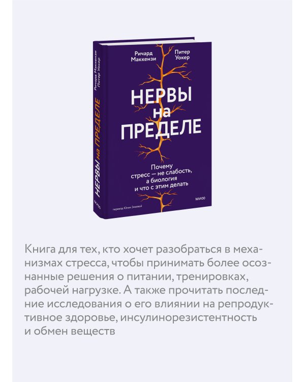 Нервы на пределе. Почему стресс — не слабость, а биология, и что с этим делать