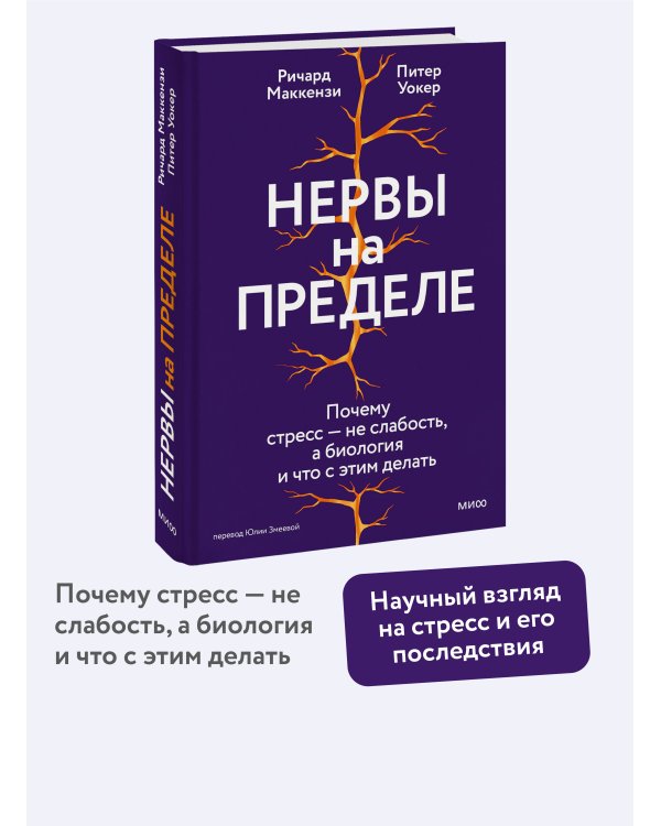 Нервы на пределе. Почему стресс — не слабость, а биология, и что с этим делать