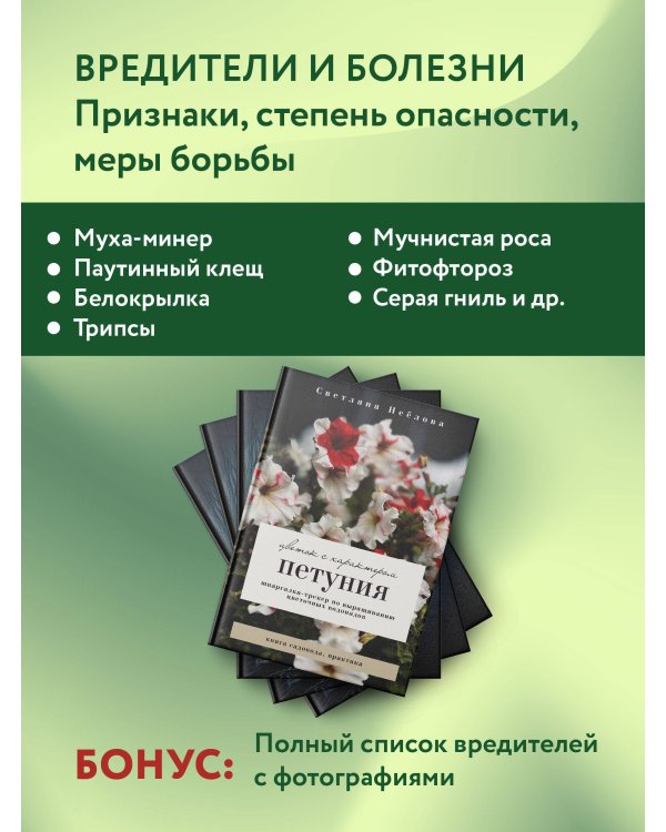 Петуния. Цветок с характером. Шпаргалка-трекер по выращиванию цветочных водопадов