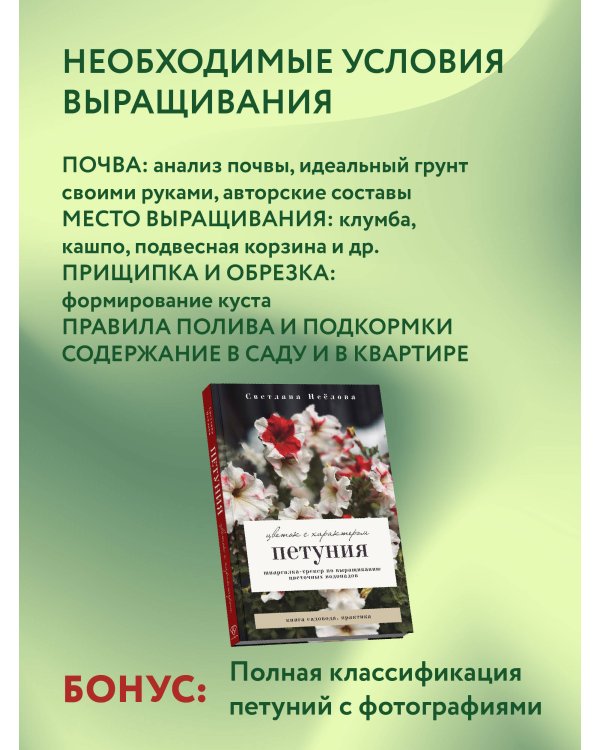 Петуния. Цветок с характером. Шпаргалка-трекер по выращиванию цветочных водопадов
