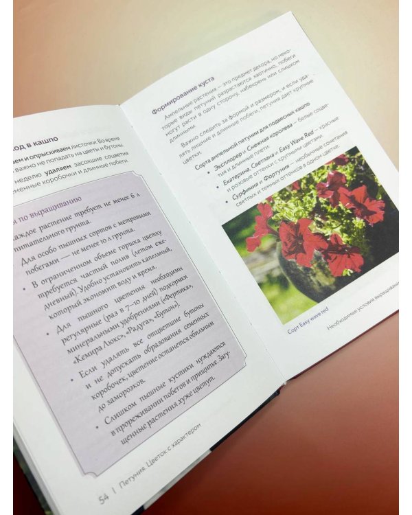 Петуния. Цветок с характером. Шпаргалка-трекер по выращиванию цветочных водопадов